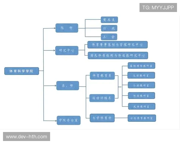 场馆与体育培训协同发展，青少年体育服务供给增加